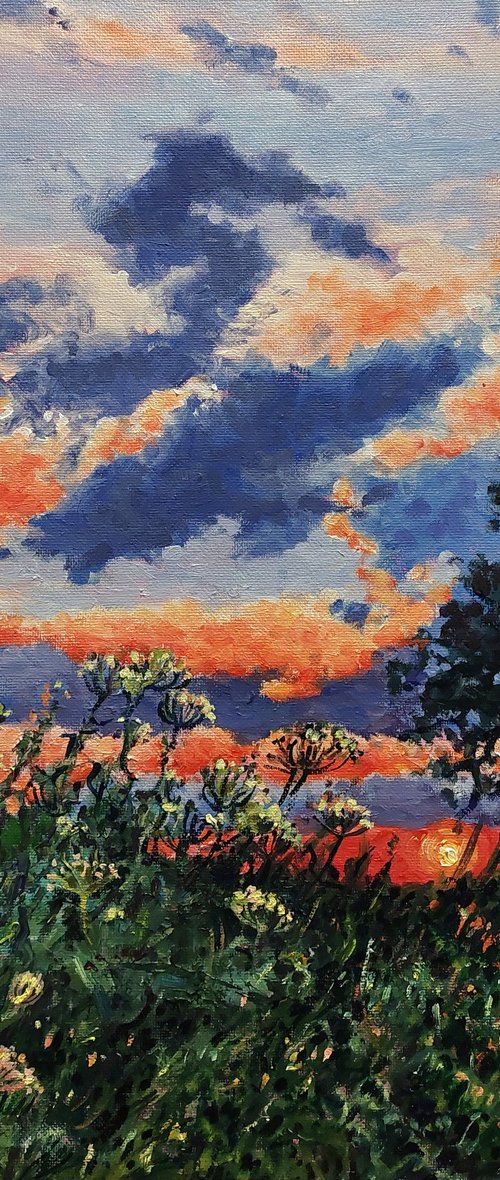 Evening Light - Sunset by Zoe Elizabeth Norman