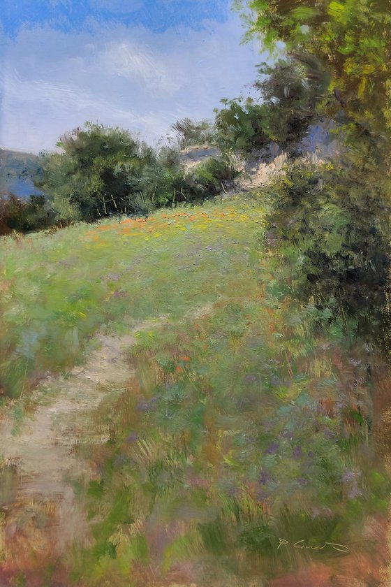 Bellons Trail