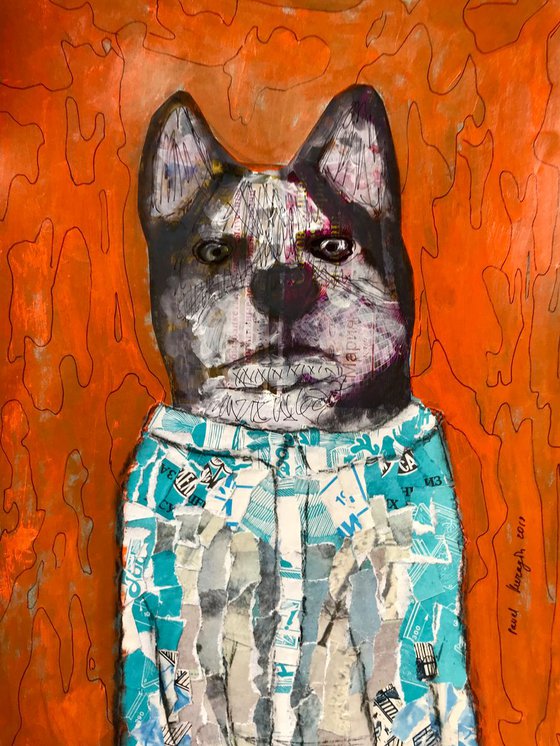 Dog from Guest House
