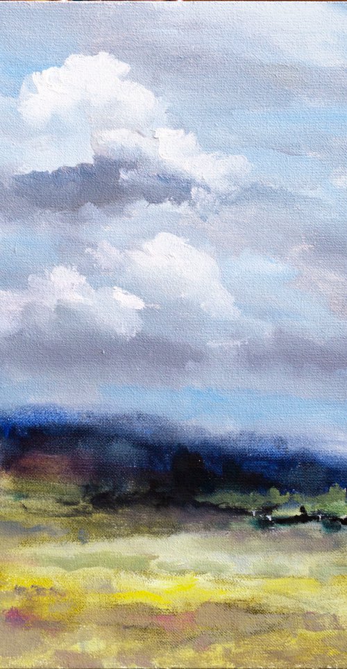 CLOUD DAY by Aleksandr Neliubin