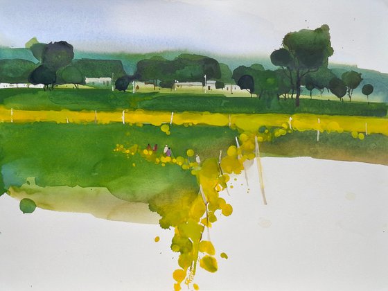 Summer yellow, mustard flowers