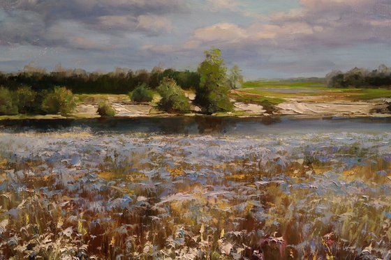 "Song of the Ukrainian Field"