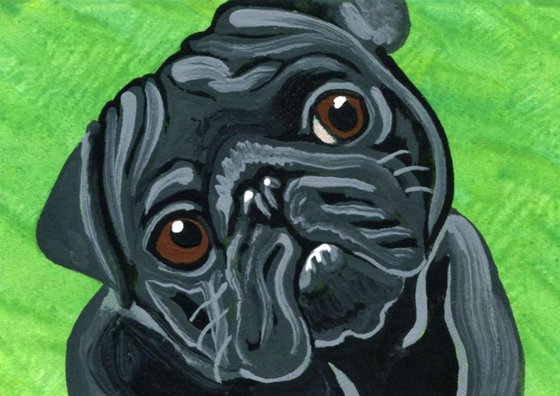 ACEO ATC Original Miniature Painting Black Pug Pet Dog Art-Carla Smale