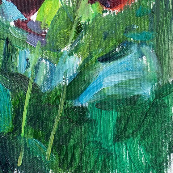 Poppies by the House
