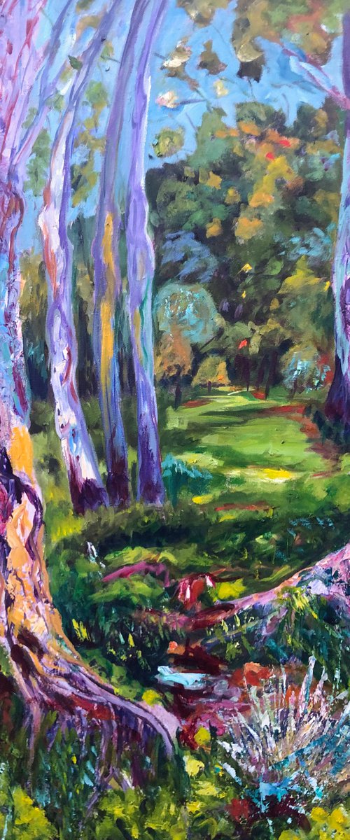 GUM TREES BY THE CREEK by Maureen Finck