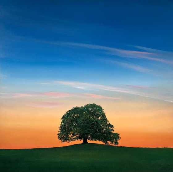 The Embrace of Exquisite Stillness