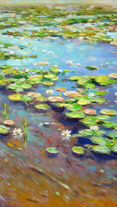 Water lilies on the Dnieper river by Vladimir Lutsevich