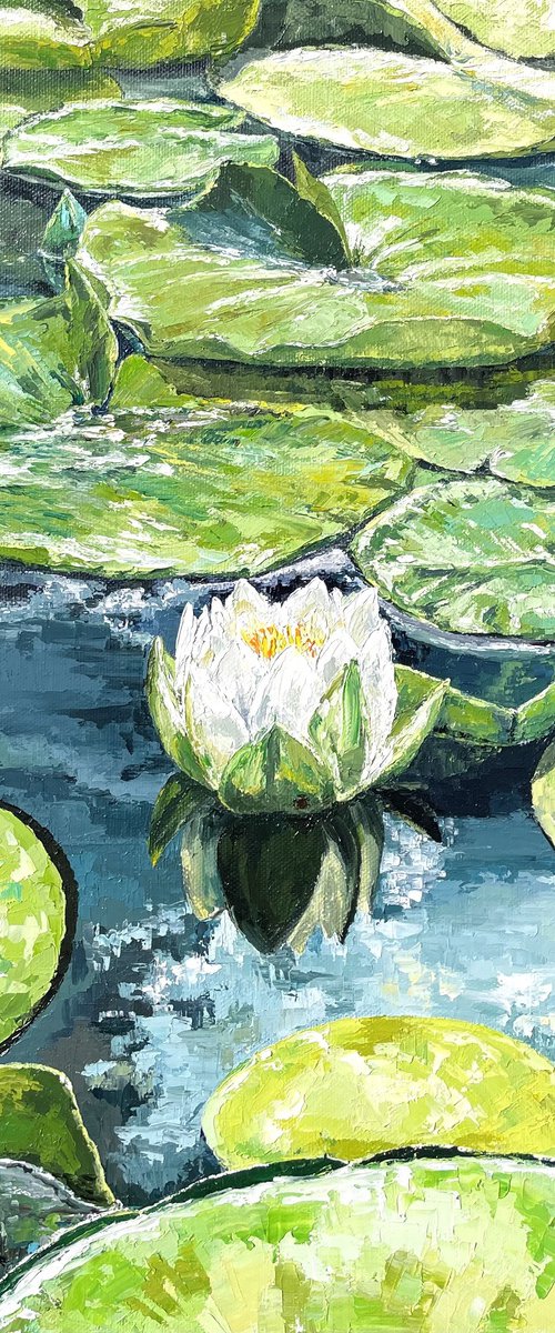 Water lilies impasto by Tanya Stefanovich
