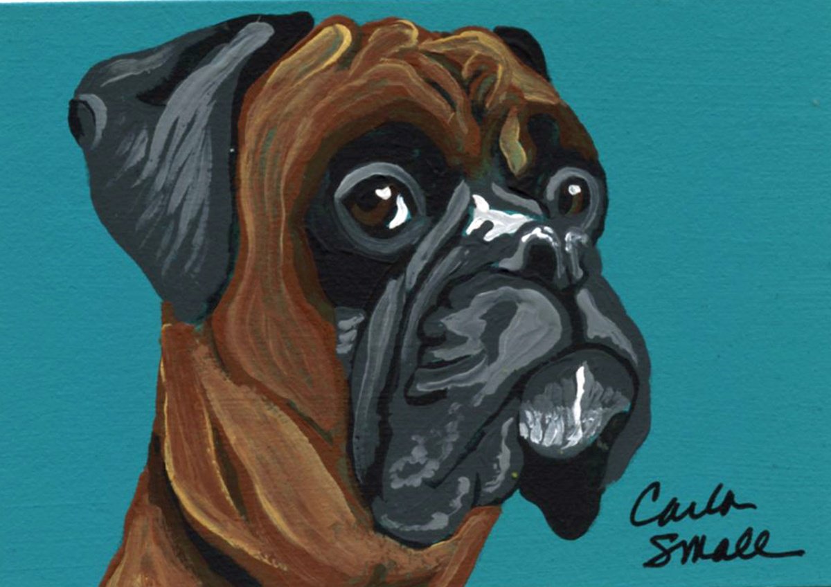 Boxer Dog by Carla Smale