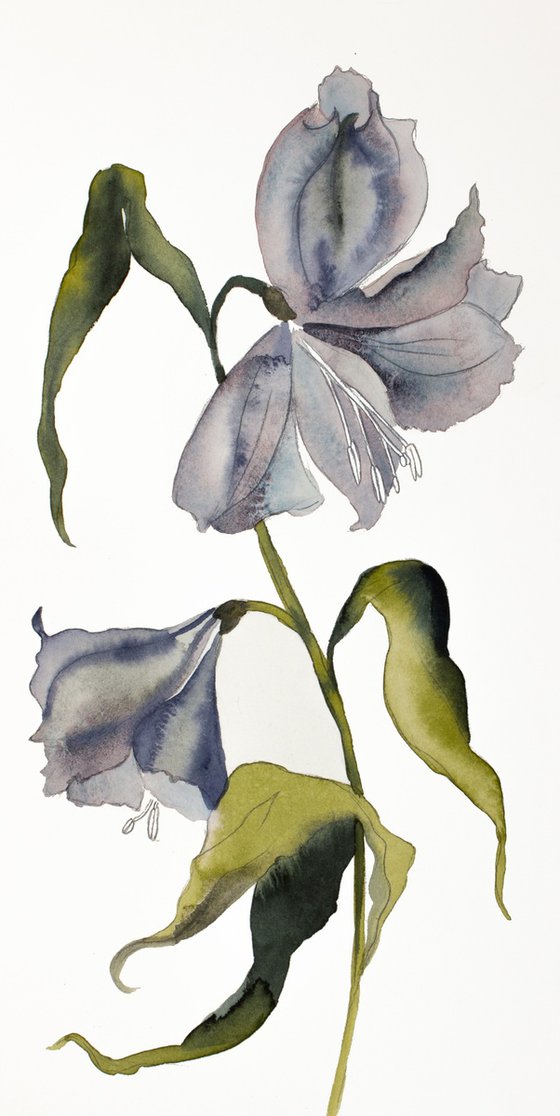 Lilies No. 13