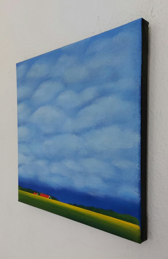 White Clouds, Golden Daffodils