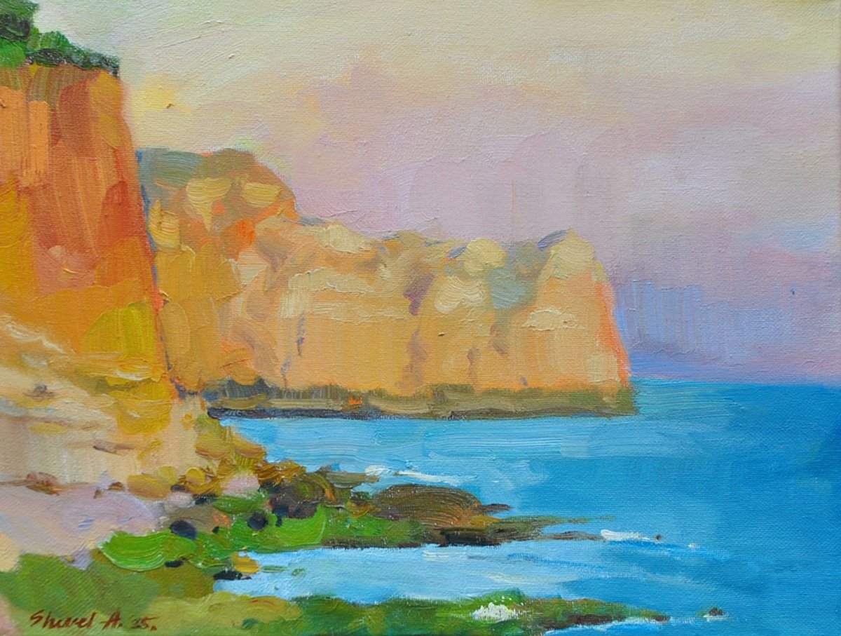 Impressionistic Landscape Oil Painting By Anna Shevel, 16 X 12, Pink Twilight, Original Artwork