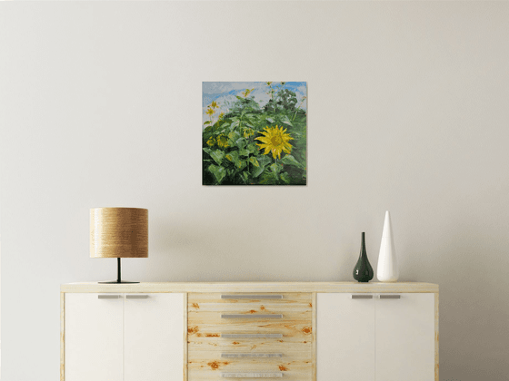 Sunflower