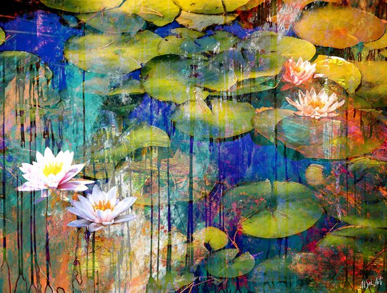 Lotuses in a Pond