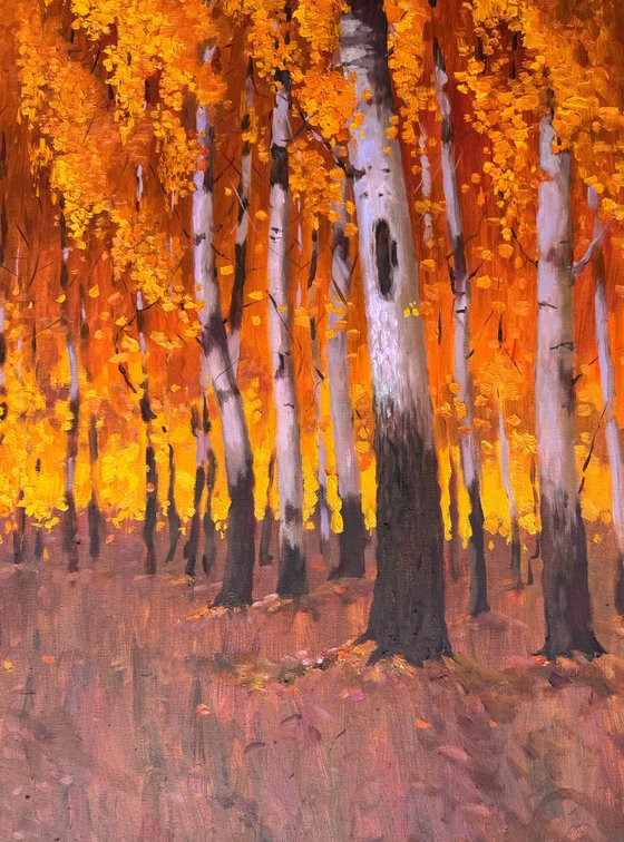 Autumn Birch Forest