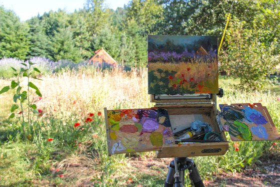 Wild Rain Retreat - plein air lavender and poppies