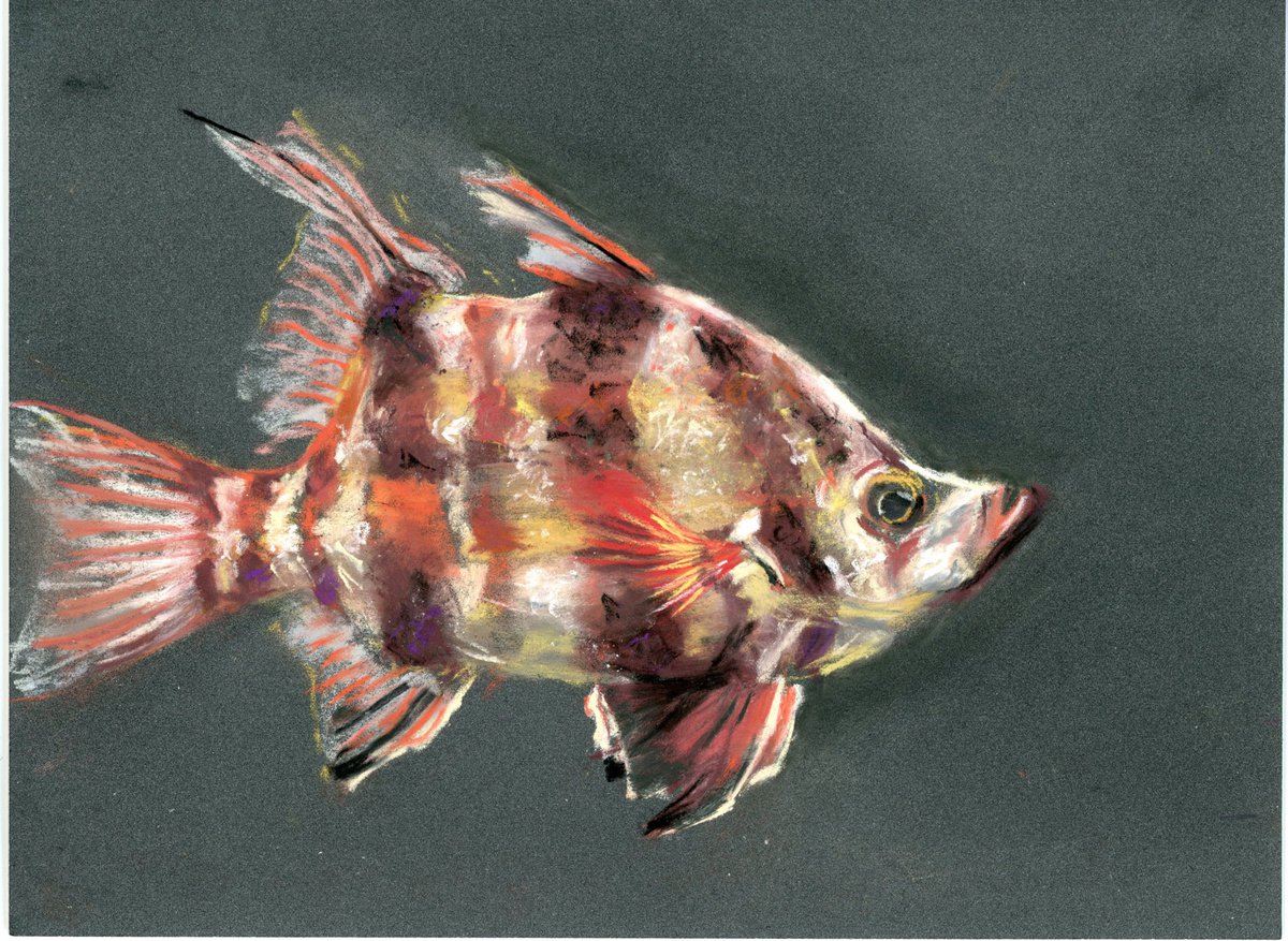 Impressionistic Animal Pastel Drawing By Olga Tchefranov (Shefranov), 10 X 7", Fish, Original Artwork