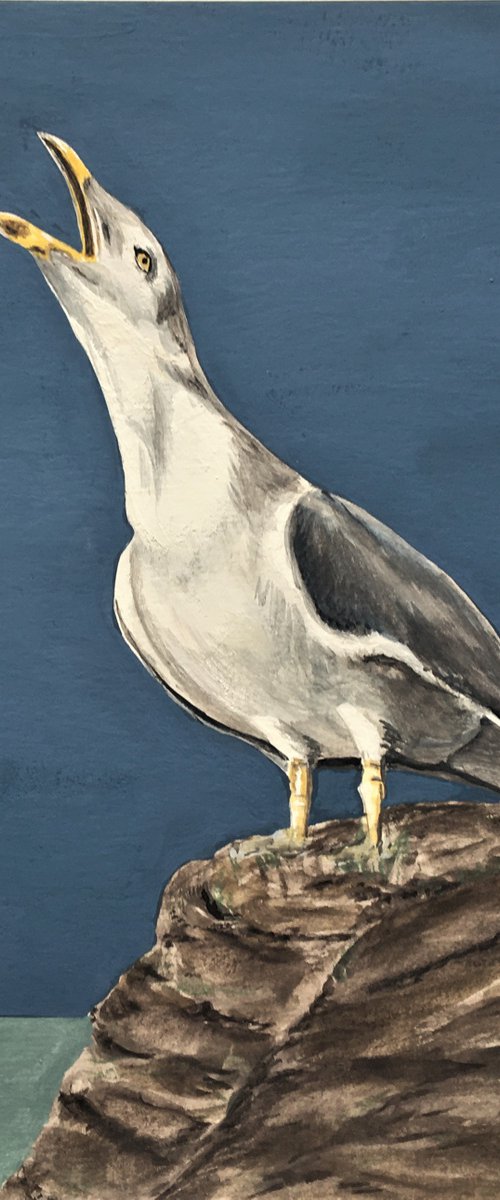 Lone Gull by Laurence Wheeler