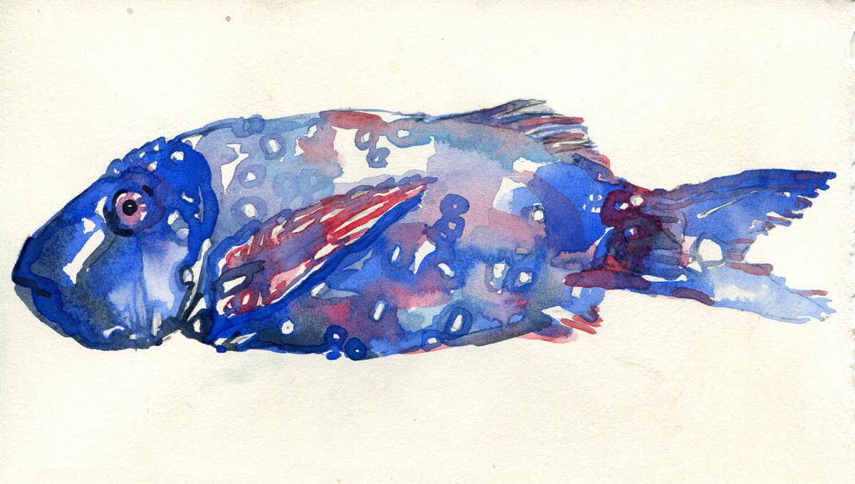 Blue fish study by Hannah Clark
