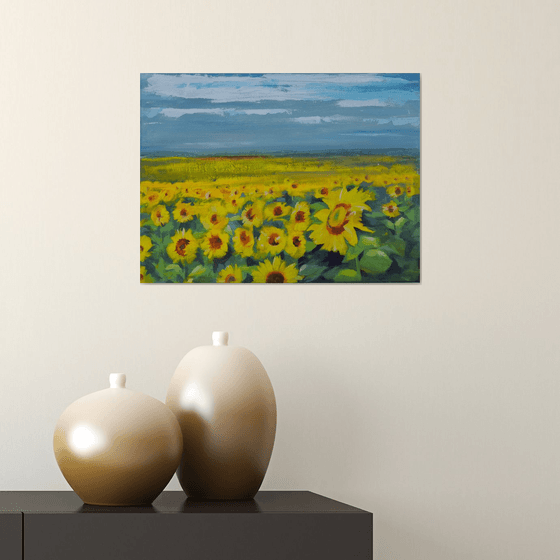 Field of sunflowers