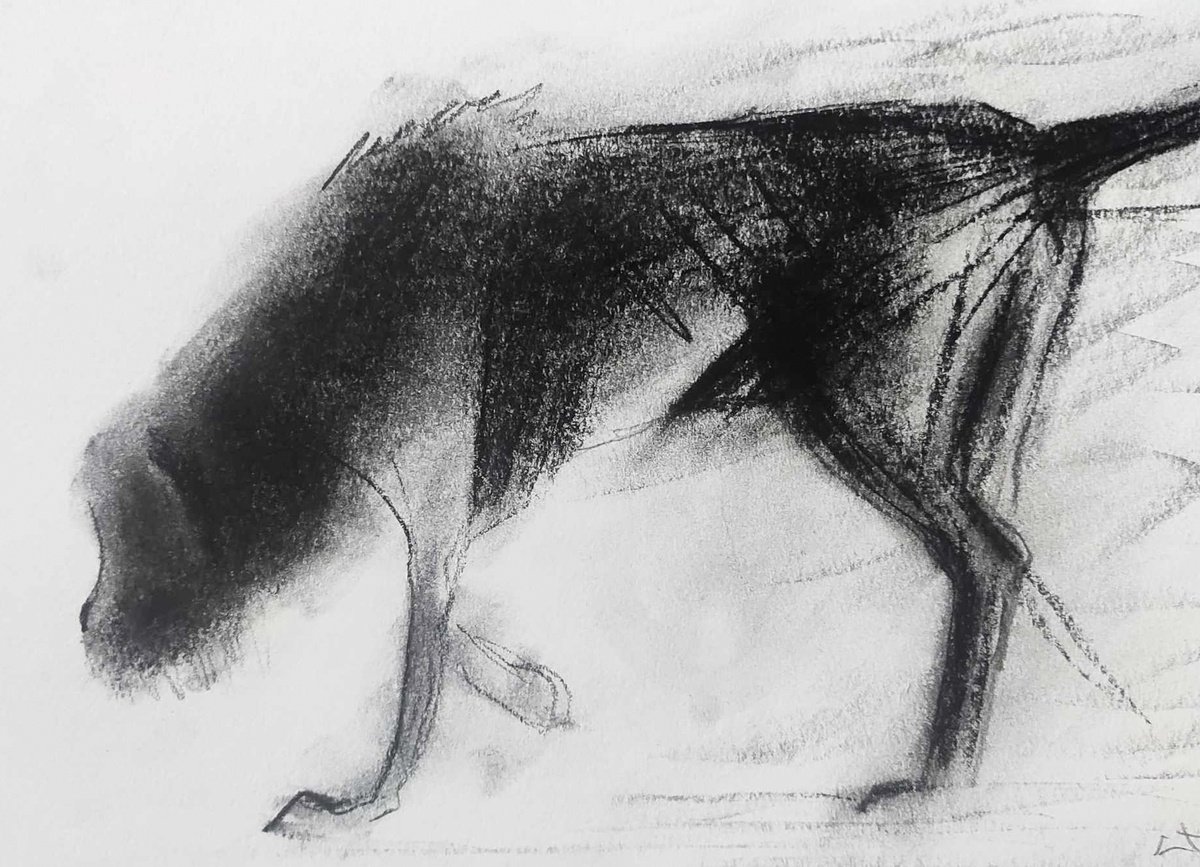 Expressive Animal Charcoal Drawing By Lionel Le Jeune, 12 X 9", Dog, Original Artwork