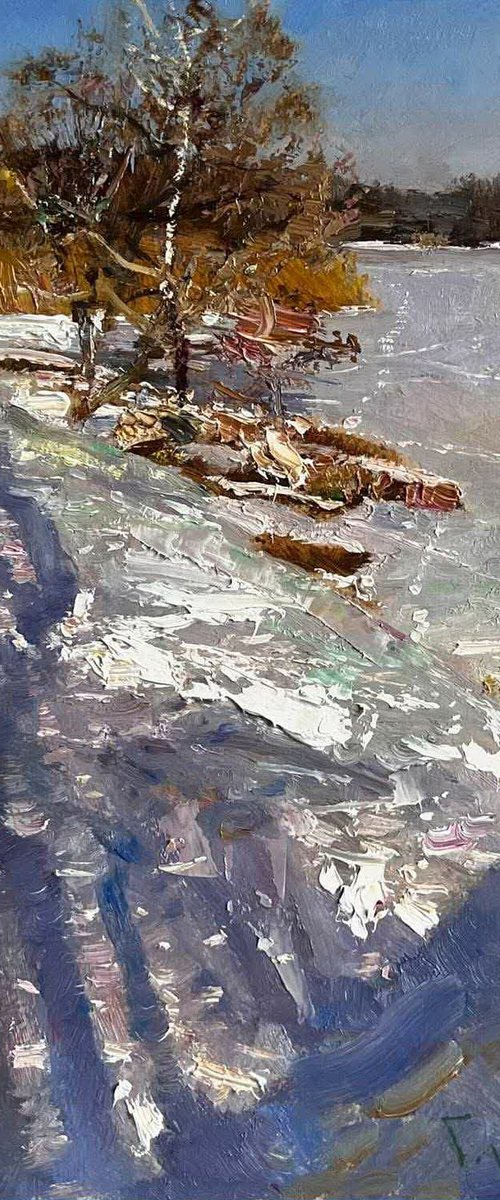 Frosty day by Denys Gorodnychyi