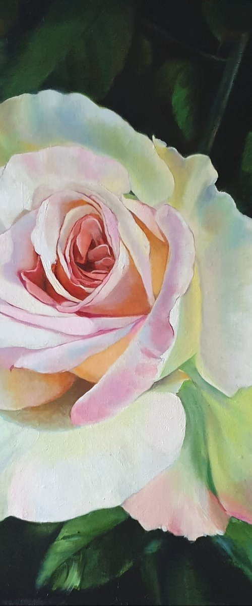 "Unusual rose"  rose flower  liGHt original painting  GIFT (2020) by Anna Bessonova (Kotelnik)