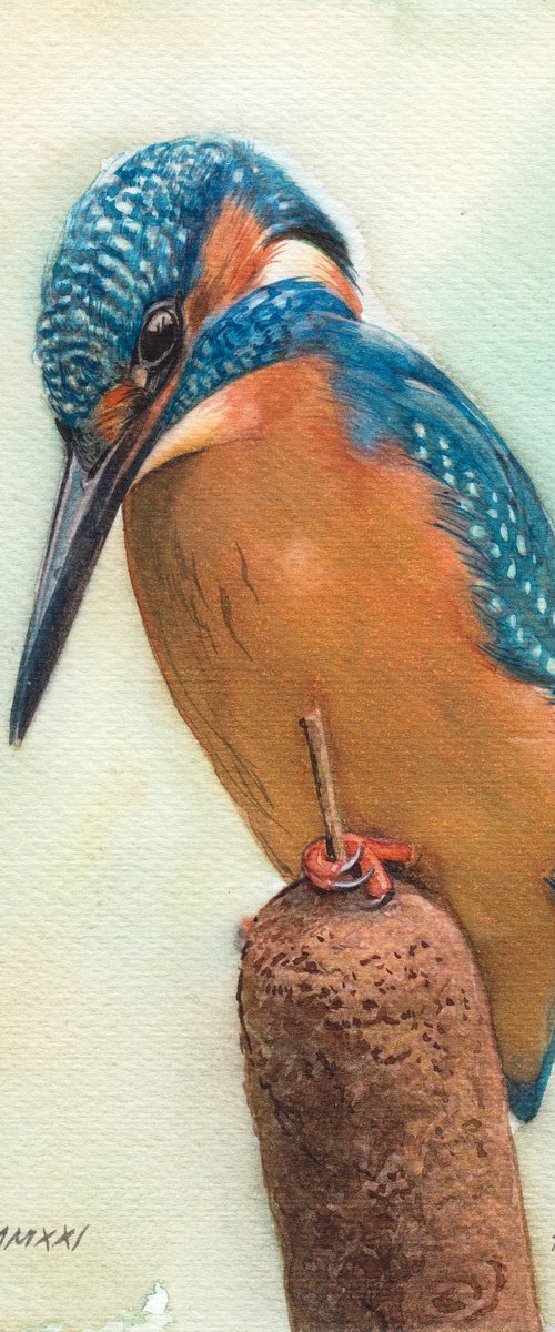 BIRD CXCIX - Kingfisher by REME Jr.