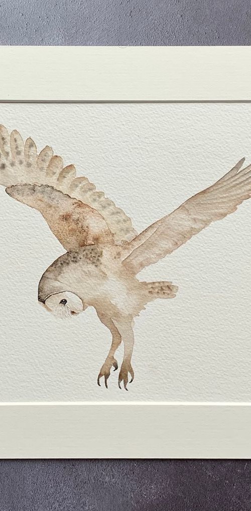 Hunting Owl by Cat Barrett