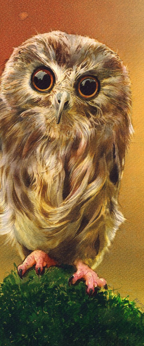 Little Cute Owl by REME Jr.