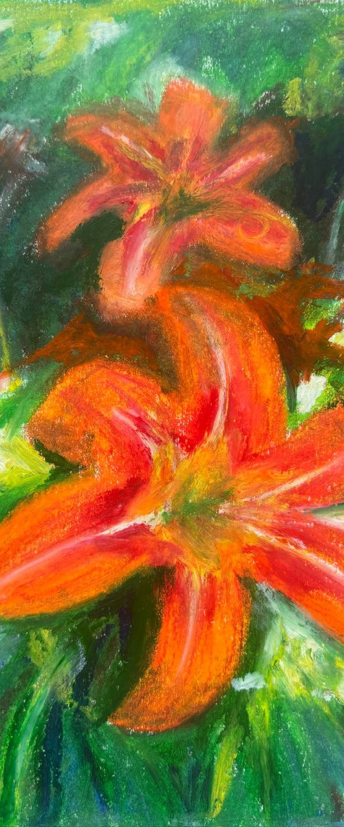 Fire Lily by Harriet Cosgrove