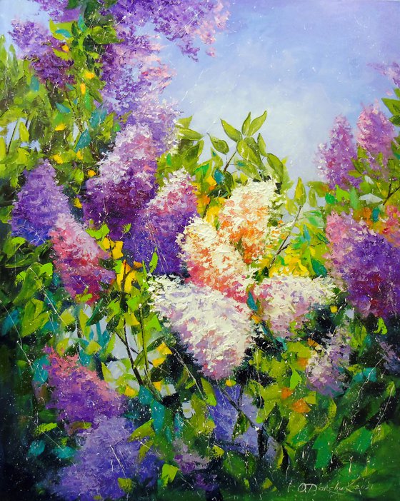 Fragrance of lilac