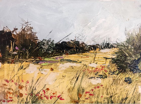 wheat fields