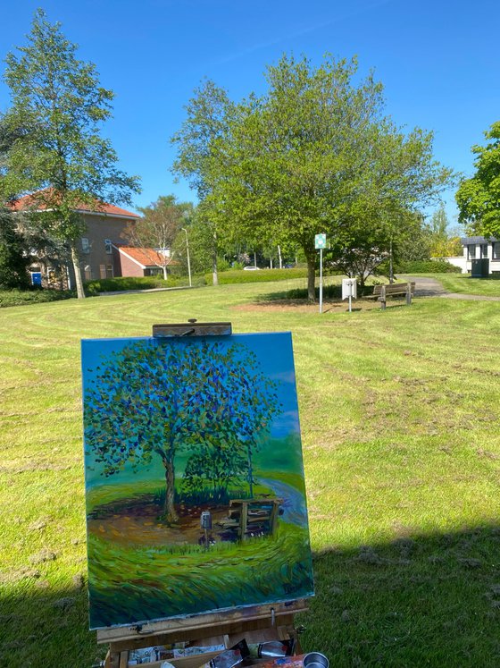 Bench under the tree