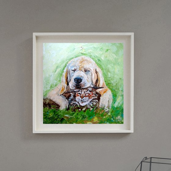 Dog And Cat