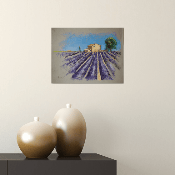 Lavender field in Provence. Medium dry pastel drawing bright colors France