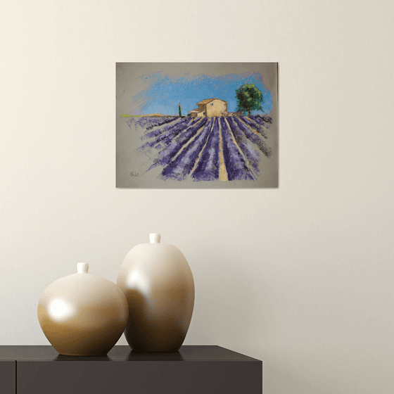 Lavender field in Provence
