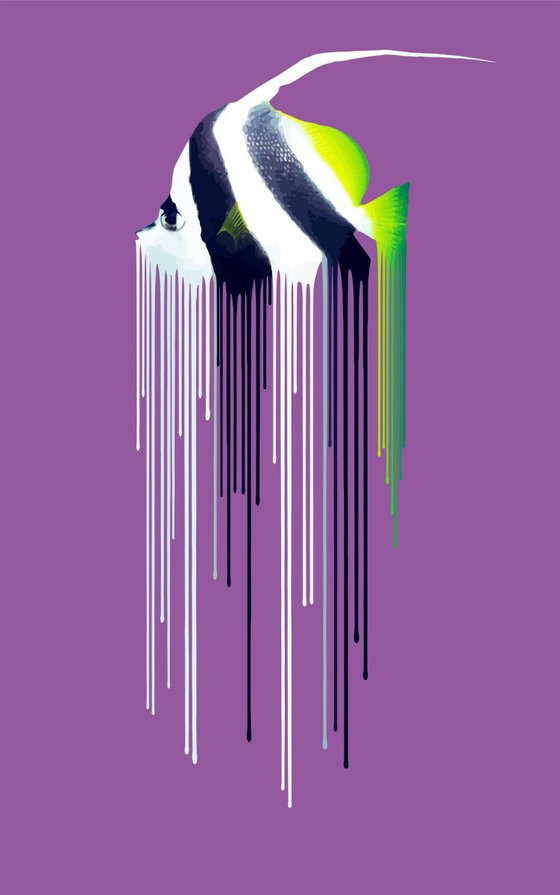 Bannerfish - Purple
