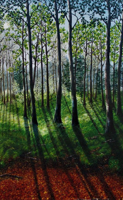 Into The Heart Of The Forest  100cm x 150cm by Hazel Thomson
