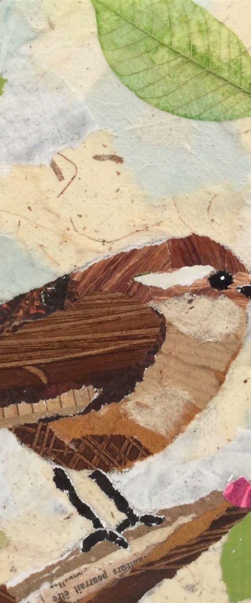 Wren #1 by Jane Palmer Art