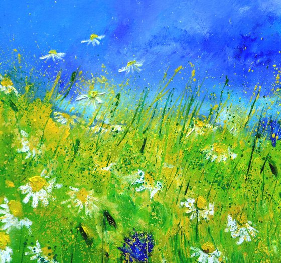 Cornflowers and daisies