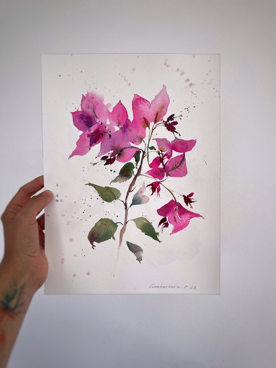 Bougainvillea #2