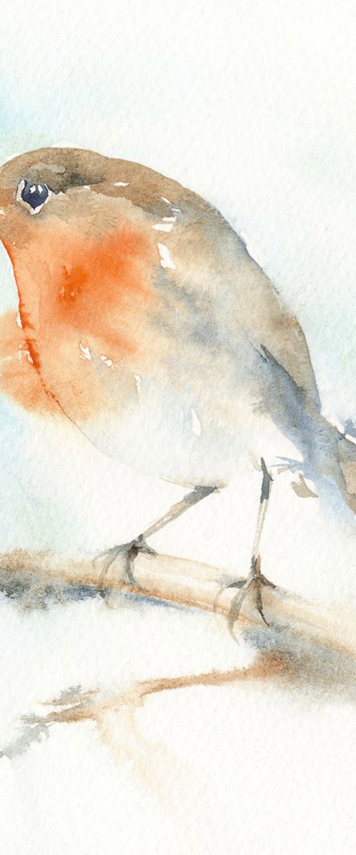 Robin by Anjana Cawdell