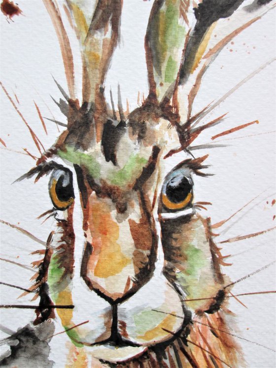 HARE IN FALL COLOURS