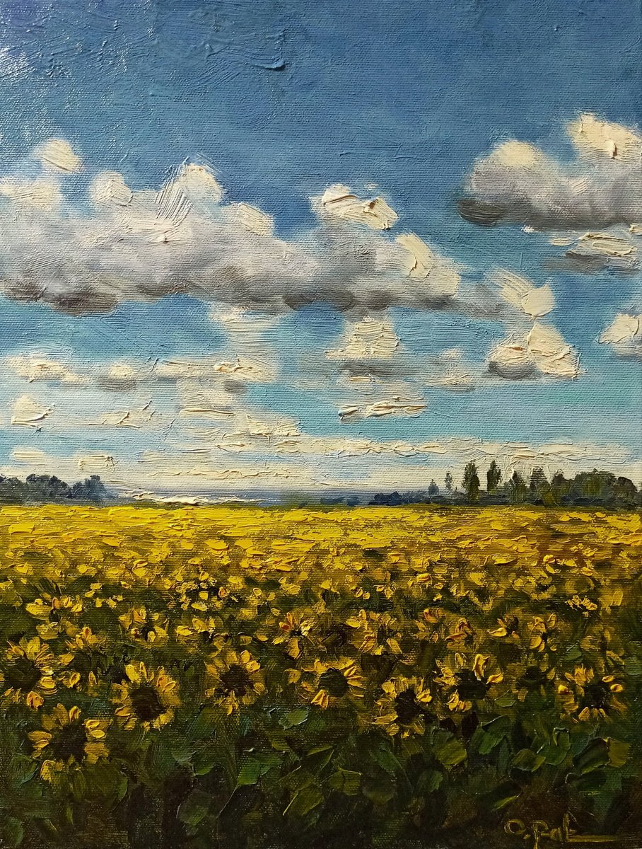 Impressionistic Landscape Oil Painting By Oleh Rak, 12 X 16", Sunflower Field, Original Artwork