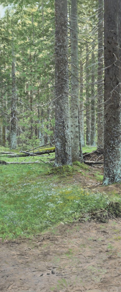 Forest scene by Marius Roos