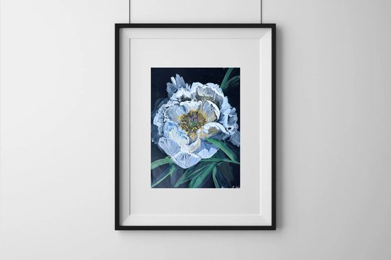 White Peony