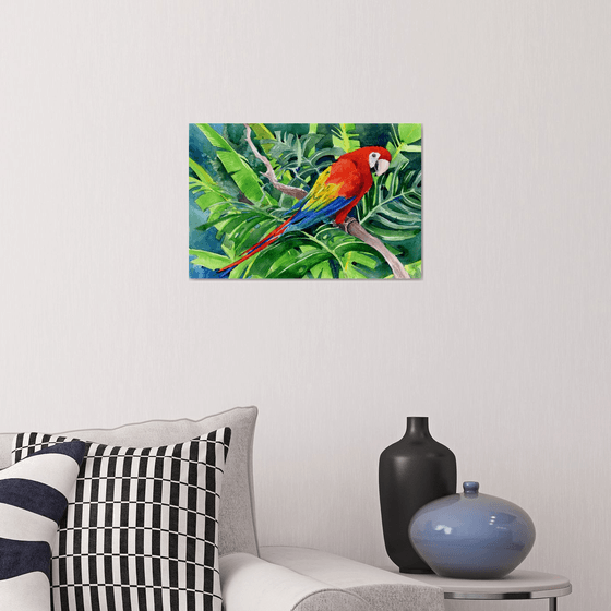 Scarlet Macaw in the Jungle