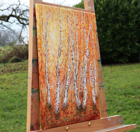 Autumn birch trees