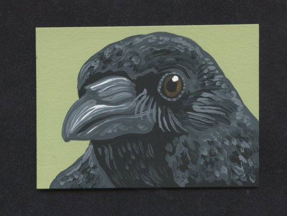 ACEO ATC Original Miniature Painting Crow Raven Bird Wildlife Art-Carla Smale